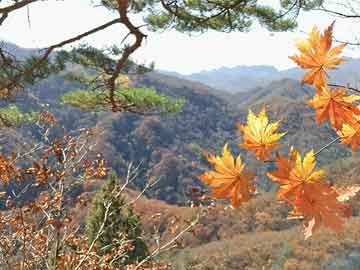 梅州1-0领先青岛！恩戈姆抢点破门，罗德里格倒三角助攻